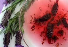 Karabaş Otu Reçeli Tarifi ve Malzemeleri